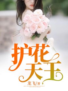 护花天王免费试读 叶言沈暮蝉小说章节目录