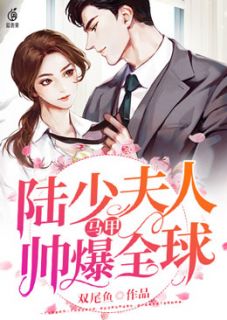 陆少夫人马甲帅爆全球小说全文在线阅读 叶瓷陆景延全文完整版章节