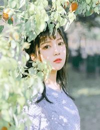 蝶魂幻舞庄乘风莫跃之小说全文章节目录免费试读