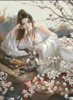 神医宠妃又狠又飒秦语燕王by姜婉在线阅读
