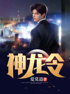 《神龙令》完结版免费试读 《神龙令》最新章节目录