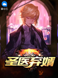 陆风林青衣小说 《圣医弃婿》小说全文在线阅读