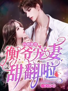 闪婚蜜爱：衡爷宠妻甜翻啦！江舒畅冷夜衡小说全文免费阅读