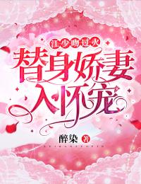 江少前妻不做替身(夏栀江怀城)全文完结免费试读精彩章节