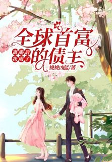离婚后，我成了全球首富的债主完整版全文阅读 颜落夕项昊翔小说 大结局
