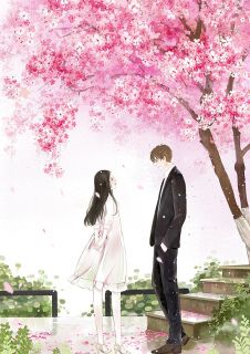 《烟花易冷时光不在》完结版在线阅读 《烟花易冷时光不在》最新章节目录