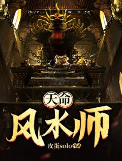 《天命风水师》小说完结版精彩阅读 陈一合叶春来小说阅读