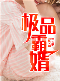 《极品霸婿》白阳童诗雅小说全部章节目录