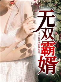 无双霸婿by九五二七 叶枫苏映雪阅读全文