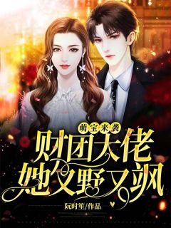 《萌宝来袭：财团大佬她又野又飒》陆绾绾厉司霆章节精彩试读