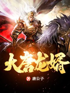 《魂穿大唐开局中状元娶公主》段飞李世民章节列表在线阅读