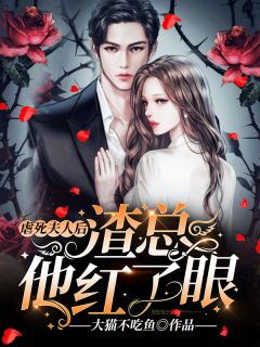 《虐死夫人后，渣总他红了眼》小说完结版在线阅读 沈夕顾云峥小说全文