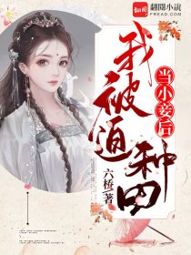 沈白桥陆云归书名叫什么_当小妾后，我被迫种田