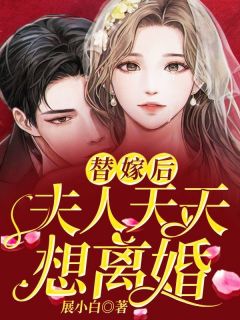 《替嫁后：夫人天天想离婚》小说章节目录免费阅读 叶云初陆瑾之小说全文
