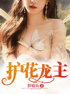 护花龙主冯飞李丽娜小说结局精彩章节全文