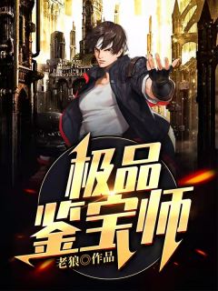 《极品鉴宝师》秦淼林佳音梁晶精彩内容在线阅读