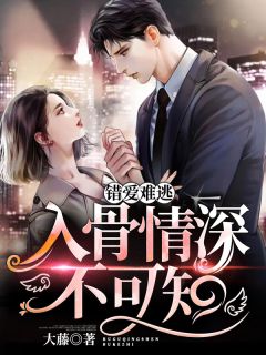《错爱难逃：入骨情深不可知》小说大结局在线阅读 苏梦南屿琛小说全文