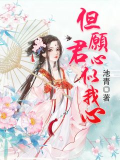 《但愿君心似我心》小说全文精彩阅读 江夜阑司渐深小说阅读