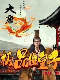 大唐极品傻皇子牧禅卢素素全本在线阅读