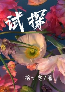 试探姜琏城赵致沂小说结局完整全文