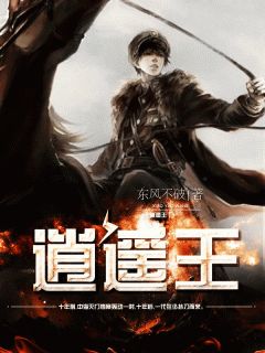 《逍遥王》萧晨叶雨桐全部章节目录