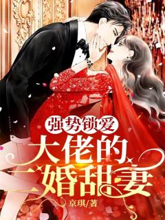 《强势锁爱：大佬的二婚甜妻》小说完整版在线阅读（主角苏柠秦斯越）
