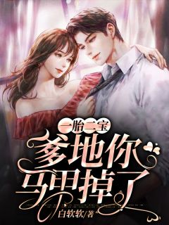《一胎二宝：爹地你马甲掉了》小说章节目录免费阅读 苏菀陆琛小说全文