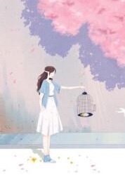 《遇见往事如昔》小说免费试读 《遇见往事如昔》最新章节列表