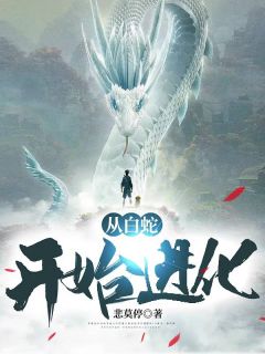 从白蛇开始进化全文免费阅读 林白一林若雪小说最新章节完整版