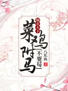菜鸟驸马不好哄小说最新章节免费阅读（完整版未删节）