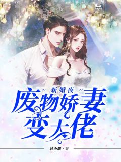《傅爷：夫人又惊艳全球了》小说章节精彩阅读 白苓傅琛小说阅读