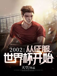 王辰韩如雪by天空 2002：从征服世界杯开始小说全本