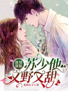 《迷情深陷：苏少他又野又甜》小说大结局在线阅读 时鹿苏妄小说阅读