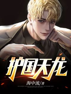 《护国天龙》小说全文精彩阅读 《护国天龙》最新章节目录
