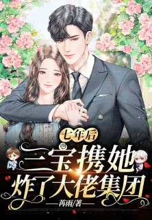 七年后，三宝携她炸了大佬集团小说完整版在线阅读（主角叶彤顾亦琛）