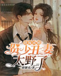 错嫁成婚夏阮阮贺渊by一路繁花完整在线阅读