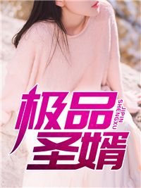 极品圣婿九道 极品圣婿在线阅读