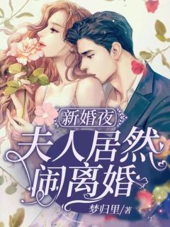 《新婚夜，夫人居然闹离婚》小说在线阅读 《新婚夜，夫人居然闹离婚》最新章节列表