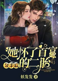 热文《分手后，她怀了首富的二胎》盛雪陆斯年小说全文无弹窗阅读