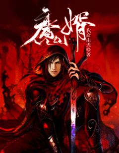 《魔婿》林风唐清雨完结版在线阅读