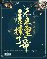村姑进宫：一不小心撩了未来皇帝李四九龙珏小说精彩内容在线阅读