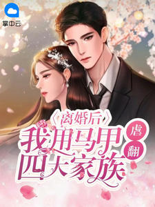 离婚后，我用马甲虐翻四大家族原著小说免费阅读
