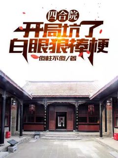 《四合院：开局坑了白眼狼棒梗》小说完结版免费阅读 何雨柱秦淮茹小说阅读