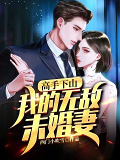 《高手下山：我的无敌未婚妻》小说阅读 韩风赵璇小说