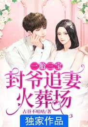 一胎三宝：封爷追妻火葬场凌浅希封司爵by古谷不咕咕全文免费阅读