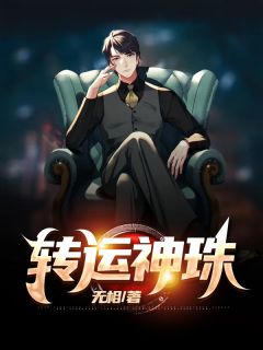 转运神珠by无相 叶辰李慧在线阅读