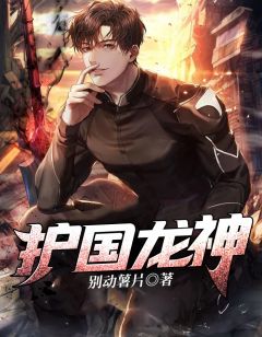 护国龙帅唐炎唐炎云颖初小说全文章节目录免费试读