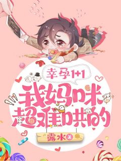 主角是南笙傅司晏的小说 《幸孕1+1：我妈咪超难哄的》 全文精彩阅读