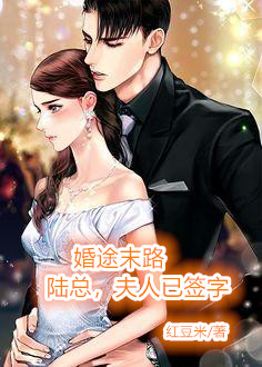 《陆总离婚别纠缠》沈甜陆睿章节免费阅读