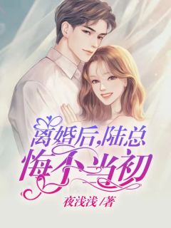 离婚后，陆总悔不当初免费试读 宋婉清陆铭小说章节目录